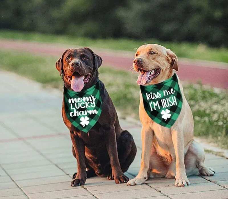 St. Patricks Day 4
